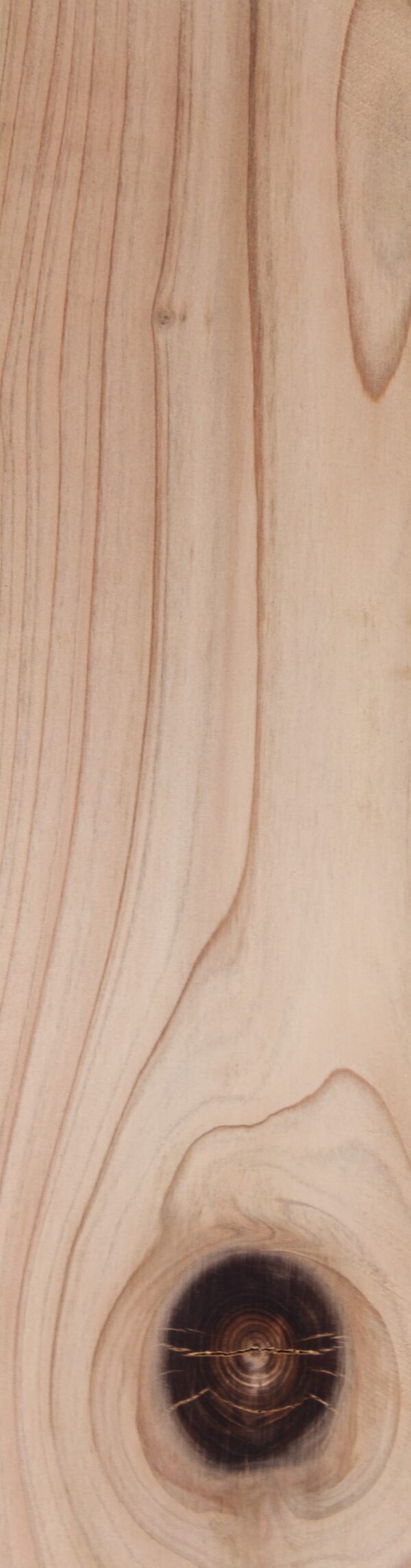 Bardeau cryptomeria  C3