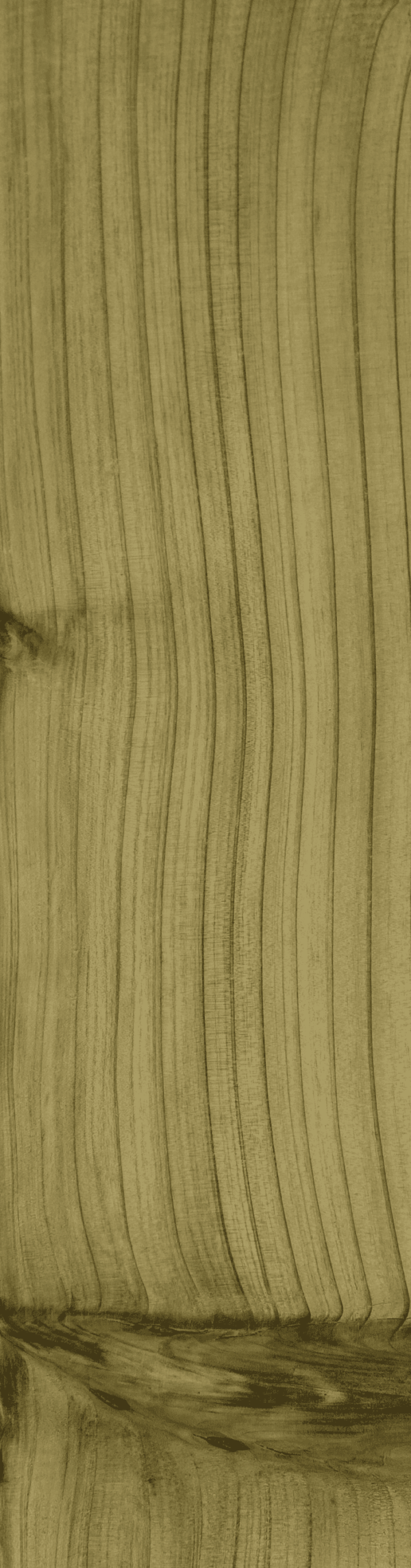 Bardeau cryptomeria C4